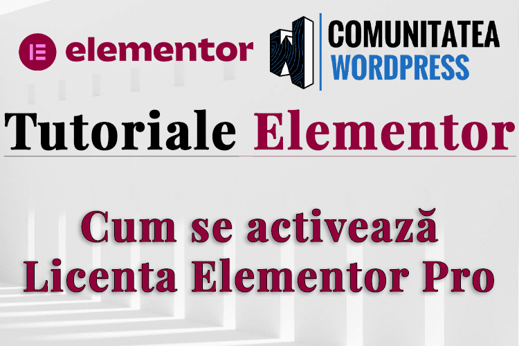 Cum se activează Licența Elementor Pro