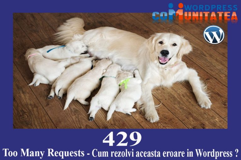 429 Too Many Requests Error - Cum rezolvi aceasta eroare in Wordpress