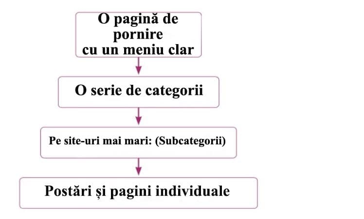 Organizare site