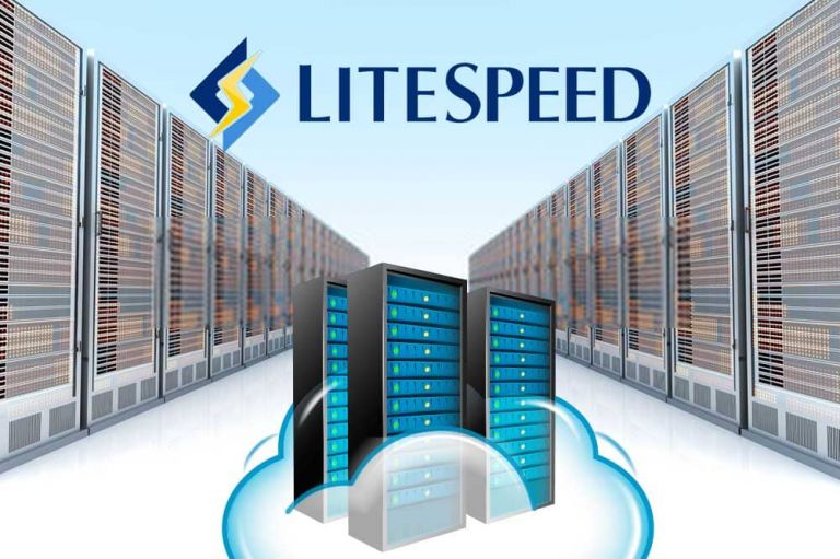 LiteSpeed Web Server pentru viteză mare și performanță