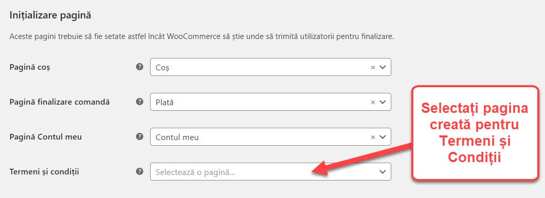 Inițializare Pagina