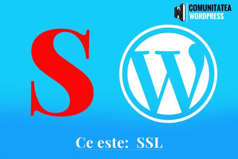 Ce este: SSL