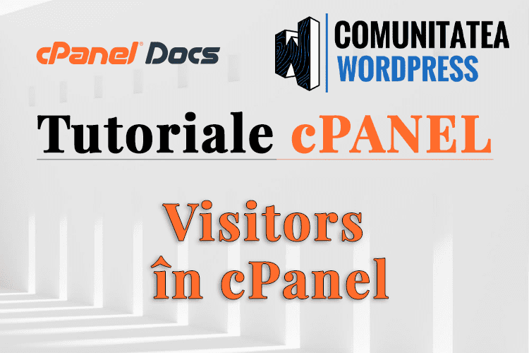Cum văd Vizitatorii pe Site-ul meu în interfața cPanel