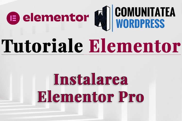 Instalarea Elementor Pro