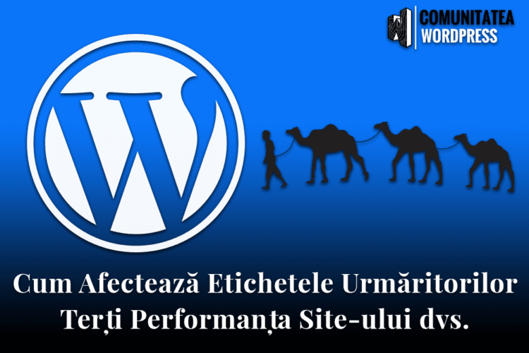 Cum Afectează Etichetele Urmăritorilor Terți Performanța Site-ului dvs.