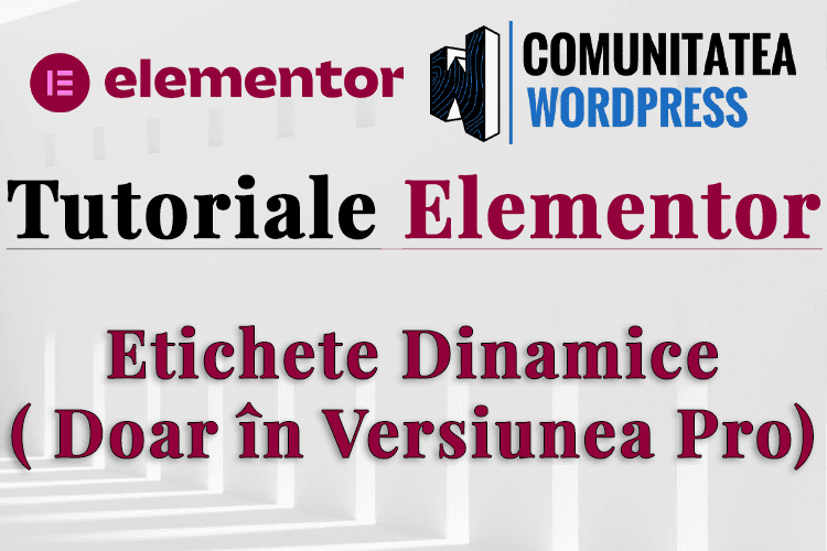 Etichete Dinamice (Doar în Versiunea Pro)