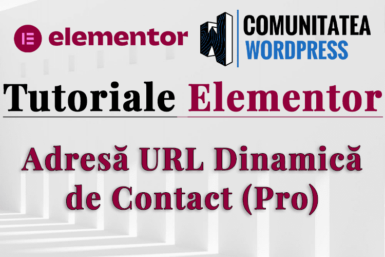 Adresă URL Dinamică de Contact (Pro)