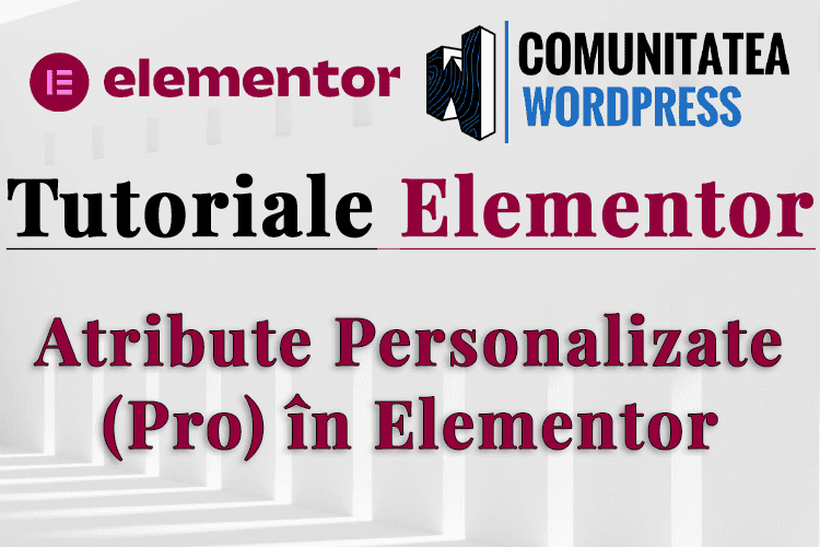 Atribute Personalizate (Pro) în Elementor