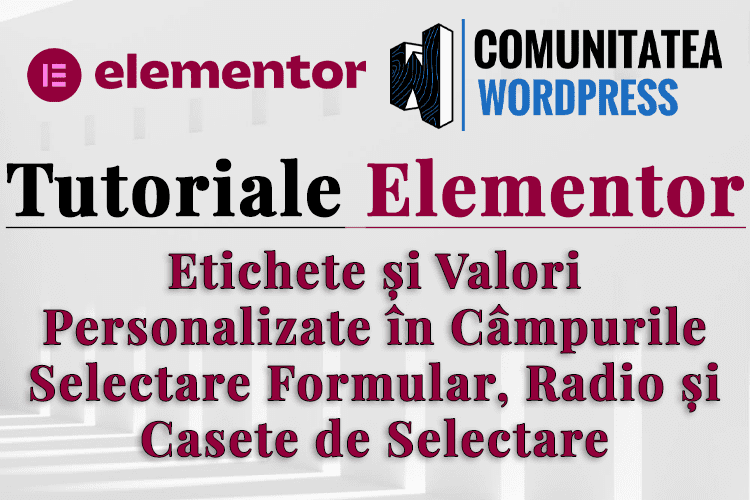 Etichete și Valori Personalizate în Câmpurile Selectare Formular, Radio și Casete de Selectare