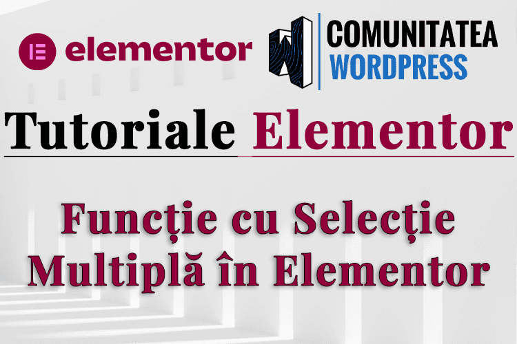 Funcție cu Selecție Multiplă în Elementor