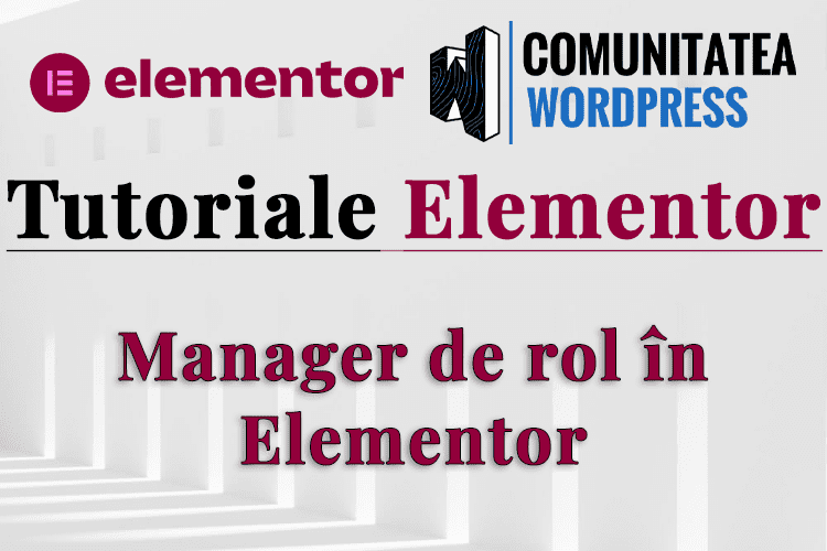 Manager de rol în Elementor