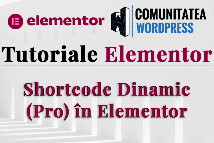 Shortcode Dinamic (Pro) în Elementor
