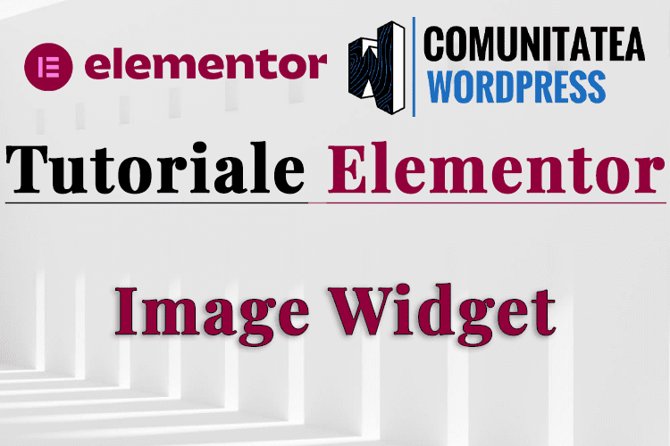 Image Widget