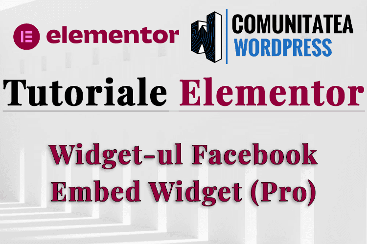 Widget-ul Facebook Embed Widget (Pro)