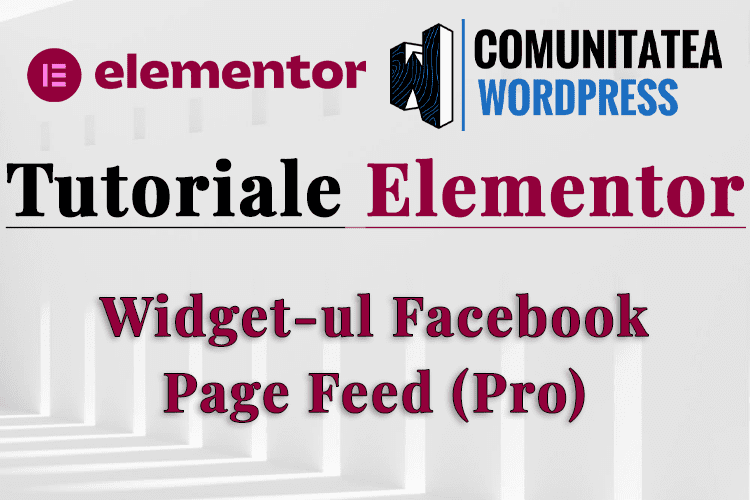 Widget-ul Facebook Page Feed (Pro)