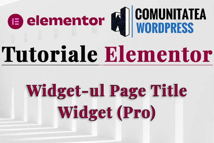 Widget-ul Page Title Widget (Pro)