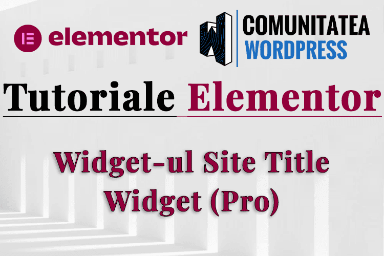 Widget-ul Site Title Widget (Pro)