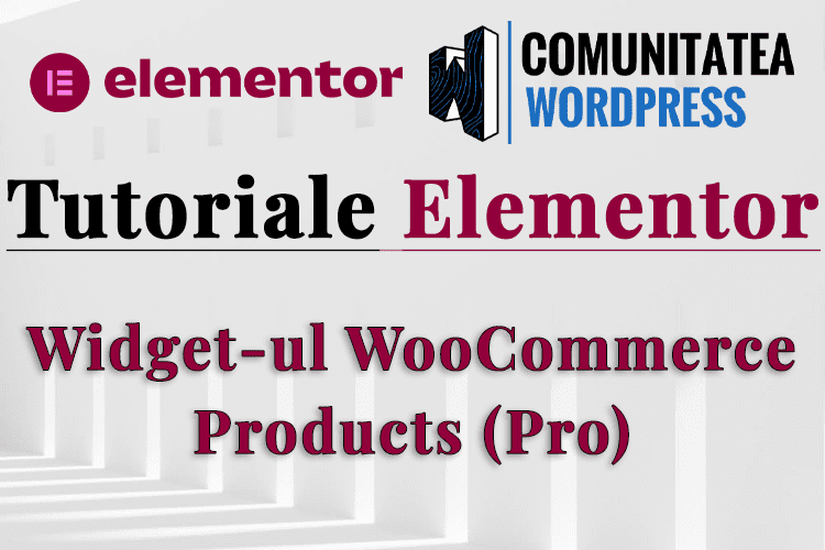 Widget-ul WooCommerce Products (Pro)