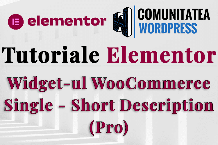 Widget-ul WooCommerce Single Short Description (Pro)