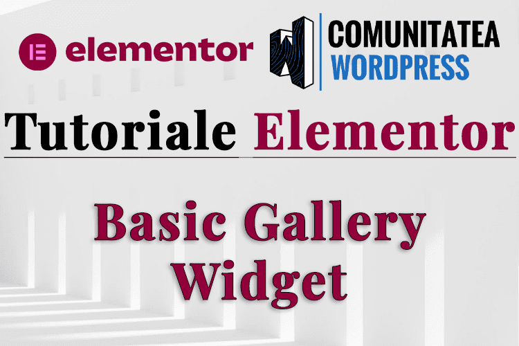 Basic Gallery Widget