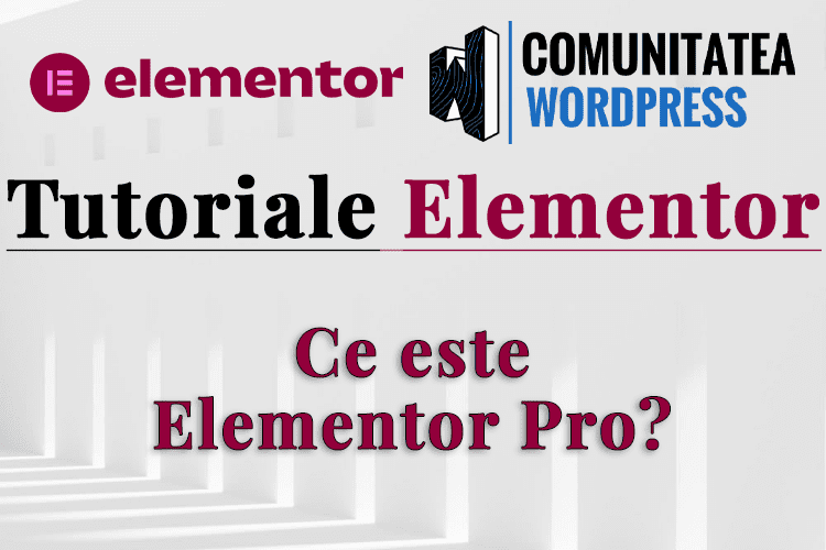 Ce este Elementor Pro?