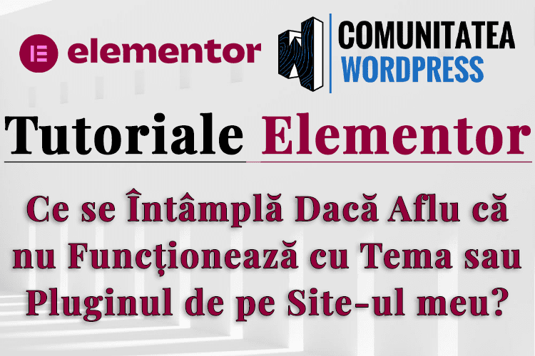 Ce se Întâmplă Dacă Aflu că nu Funcționează cu Tema sau Pluginul de pe Site-ul meu