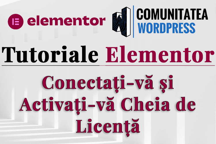 Conectați-vă și Activați-vă Cheia de Licență