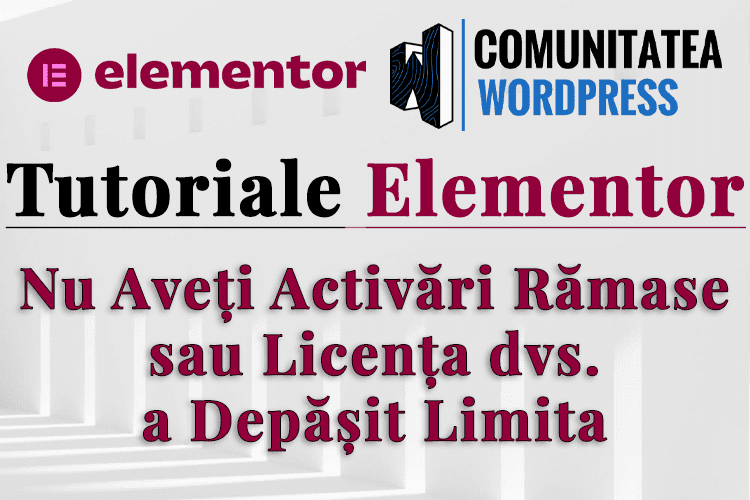 Nu Aveți Activări Rămase sau Licența dvs. a Depășit Limita