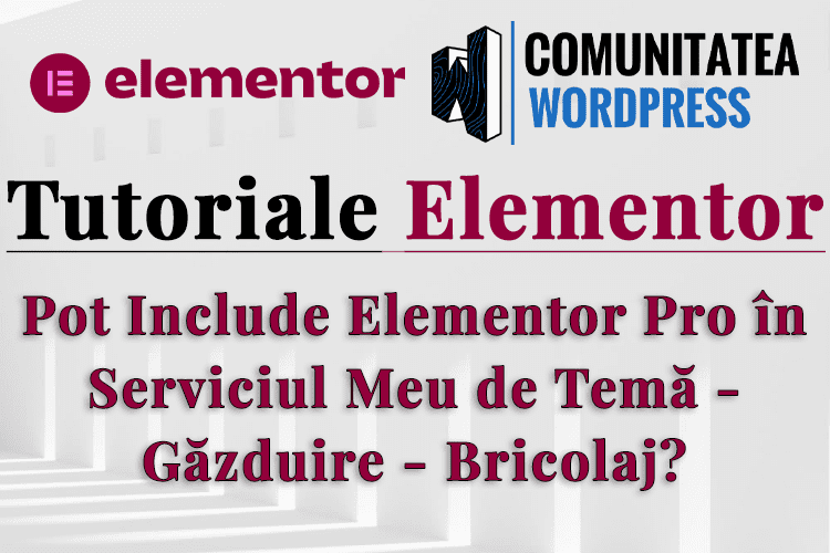 Pot Include Elementor Pro în Serviciul Meu de Temă - Găzduire – Bricolaj?