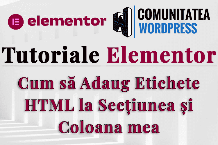 Cum să Adaug Etichete HTML la Secțiunea și Coloana mea