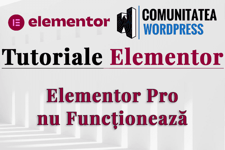 Elementor Pro nu Funcționează