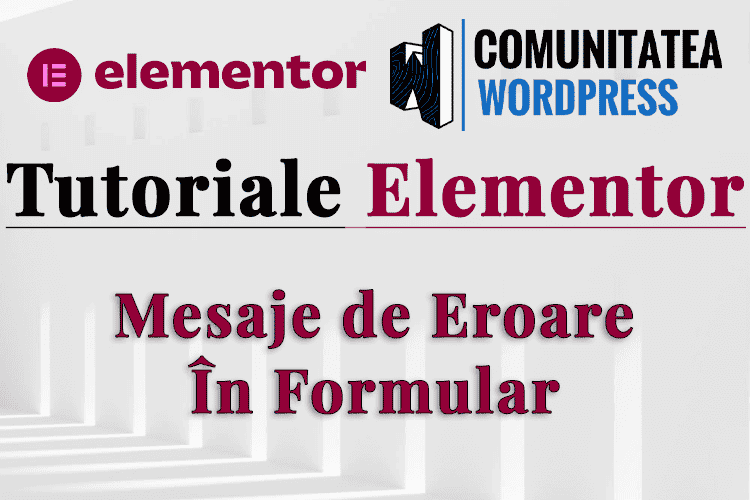 Mesaje de Eroare În Formular