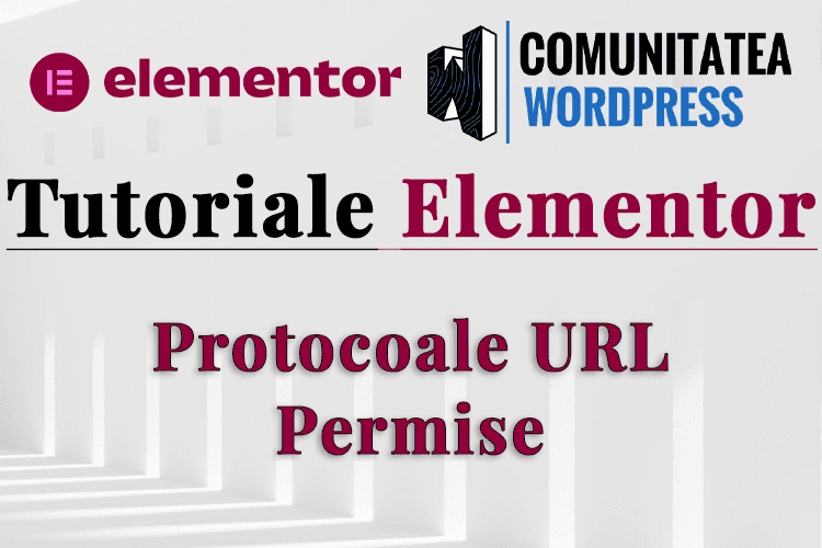 Protocoale URL Permise