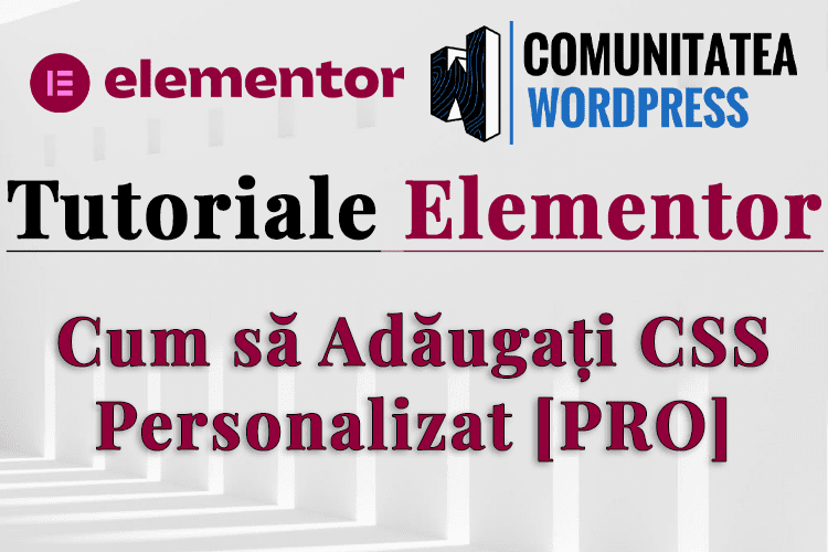Cum să Adăugați CSS Personalizat [PRO]