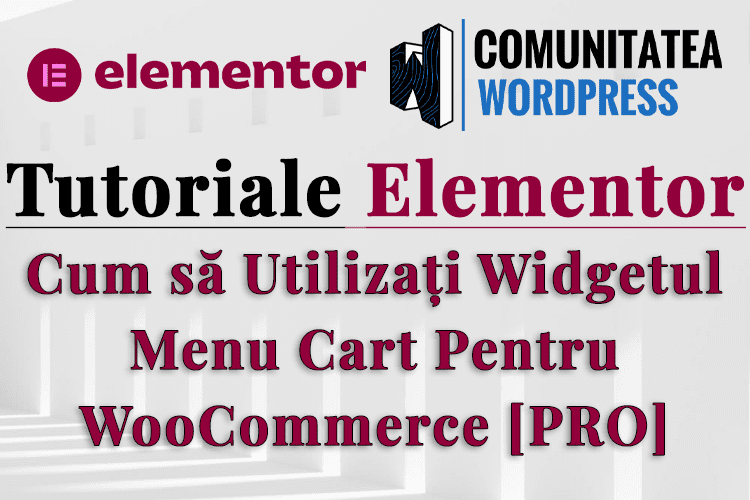 Cum să Utilizați Widgetul Menu Cart Pentru WooCommerce [PRO]
