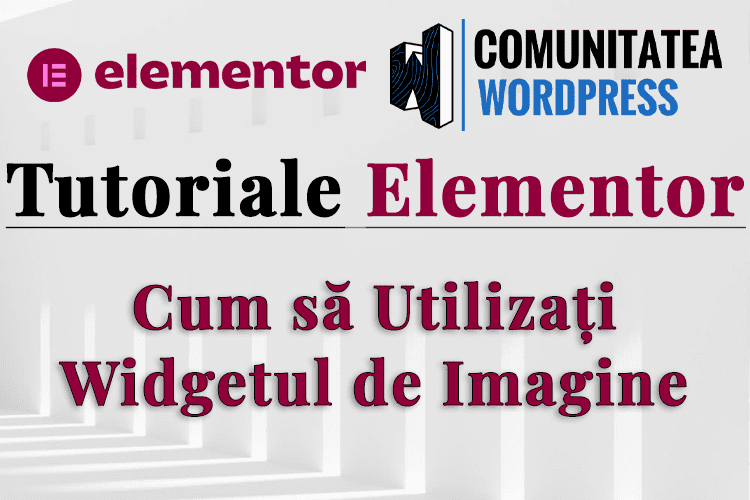 Cum să Utilizați Widgetul de Imagine