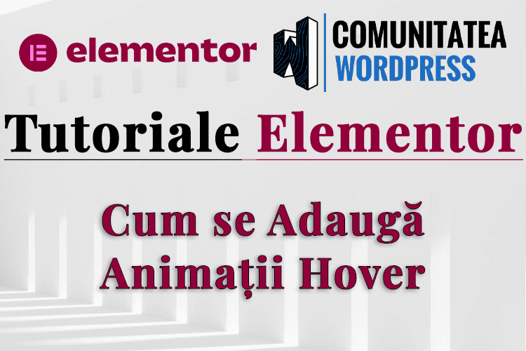 Cum se Adaugă Animații Hover