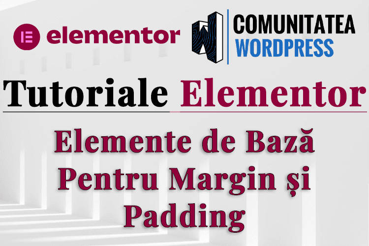 Elemente de Bază Pentru Margin și Padding