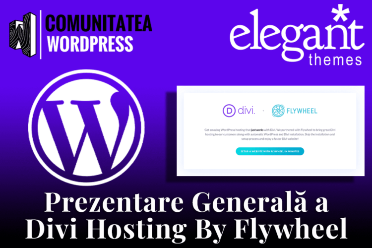 Prezentare Generală a Divi Hosting By Flywheel