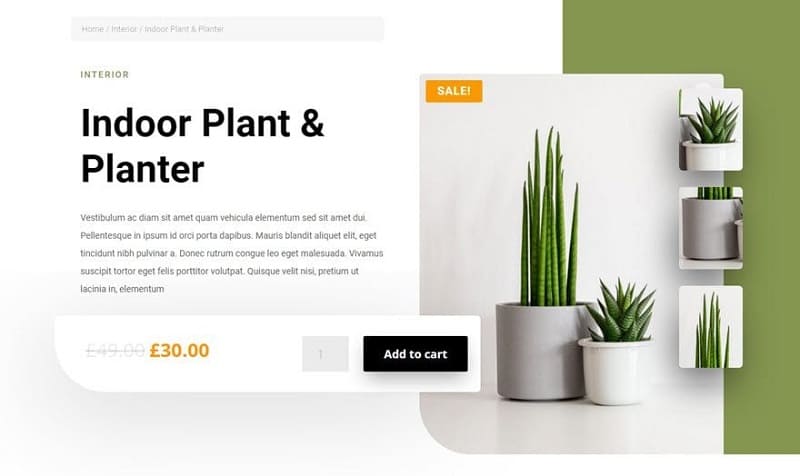 Indoor Plant Planter