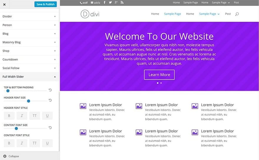 Utilizarea Comenzilor de Personalizare