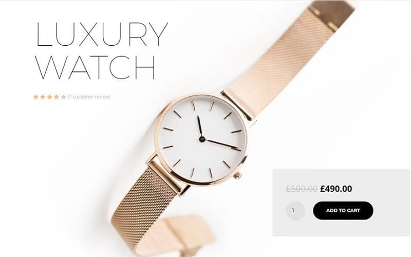 Luxury Watch
