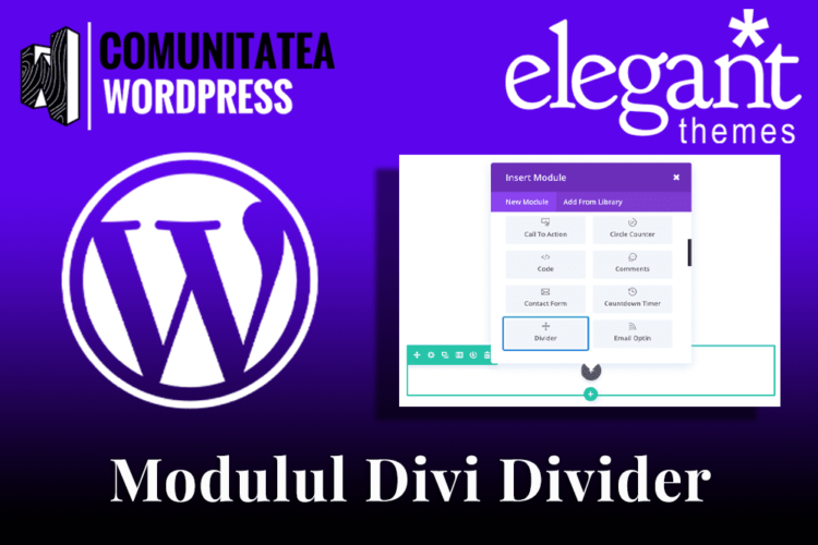 Modulul Divi Divider