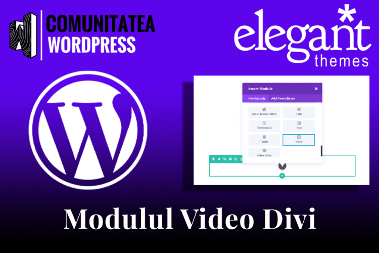 Modulul Video Divi