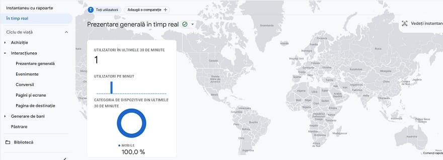 Raport în Timp Real