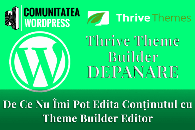 De Ce Nu Îmi Pot Edita Conținutul cu Theme Builder Editor